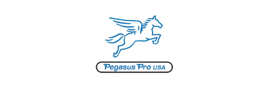 Pegasus