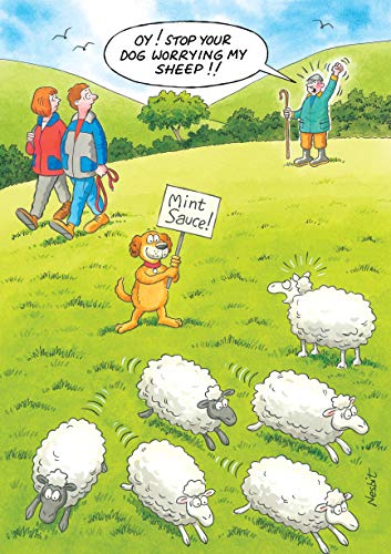 Humorous Birthday Card (RB31530/01) - Sheep - Mint Sauce! - Dog Worrying Sheep