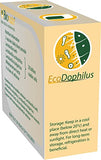 Bionutri EcoDophilus 60's Probiotic Support, 30 Day Supply