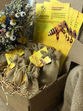 5 Packs of Native Wildflower seedballs, Handmade in Dorset. Bring The Bees Back.